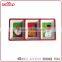 Santa Claus hand-painted 3 sections oblong christmas divided food trays plastic