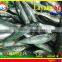 FROZEN LAYANG SCAD (MUROAJI) WHOLE ROUND