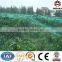Factory Anti-bird mesh/plastic net