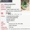 artificial succulents artificial mini succulents artificial succulents wholesale
