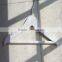 Color Wood Hangers for Multi Color Clothes Hanger
