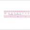 Factory Wholesale High Quality Plastic Fabric Ruler for Fashion Pattern Design 1"*12" #B-65