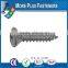 Made in Taiwan Phillips Recess Oval Countersunk Head Tapping Screw