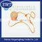 China Plastic plastic seal tag with clip