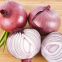 Shandong Onion Red Onion Fresh Onion Price Advanced Quality Onion