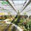 2017 Agricultural Hydroponics Greenhouse For Tourism