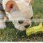 Apple Core Pet Toy Bite Resistant Dog Interactive Teasing Entertaining Toy Teeth Grinding Cleaning Pet Supplies