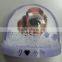 acrylic sicircle fridge magnets with dog photo insert