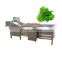 Industrial  Pepper Bubble Washer Cleaner Equipment fruit  Vegetable Washing Machine price
