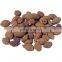 High quality malva nut helps to heat/Brown Nutritious Dried Malva Nuts from Vietnam