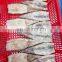 Good quality frozen squid tube skin on wing on