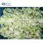 BRC A Approved IQF Cauliflower  IQF Frozen Cauliflower  with high quality Sinocharm