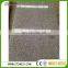 cheap price Grigio Peperino granite