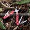 13 in One Combination Tool Pliers Outdoor Portable Multifunctional Folding Knife Pliers Camping Tools