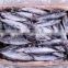 Tilapia sardine Trout carp saury snapper Pomfret sea bass mackere fish fillet machine