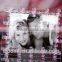 Ultra Clear aluminum double sided glass photo-frame