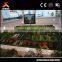 Amazing 3d Visualization Building Model From Leading Factory