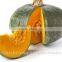 fresh pumpkin export in india/yellow pumpkin/white pumpkin eporters