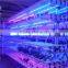 DC12V 300 leds/5m Plant LED Grow Light Strip