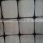 Factory chicken plastic net/hencoop plastic net