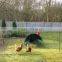 Factory chicken plastic net/hencoop plastic net