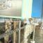 ice jelly with plastic tube filling machine