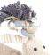 China Best Pet Products Animal Interactive Dog Toy