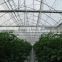 Hydroponic and Climatic Controllers for Tomato Strawberries and Hydroponic Production