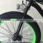 36V 10AH battery 2016 new mountain 250w brushless hub motor fat tire electric bike