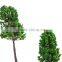 Architectural mode tree, scale model trees, model family tree, plastic model tree,2015 new,MT-09