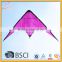 Dual-line Stunt kite, Advertising Stunt kite, Promotional Stunt kite from Kaixuan kite factory