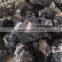 Natural Black Crystal Stone Morion Mineral Raw Rough Stones