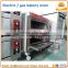 Electric pizza oven / gas bakery deck oven