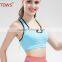 Hot Professional Women Sports Bras Gym Lady Running Fitness Exercise Quick-drying Underwear Training Dancing Shockproof Vest