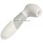 high quanlity fast delivery new supply facial massager