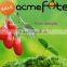 price new wolfberry certified organic goji berry dried goji berry