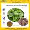 GMP Manufacture supply 100% Natural He Shou Wu Extract Powder/Fo-ti Extract