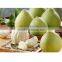 super sweet 2016 new fresh Pomelo fruit for sale