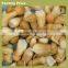 bolete,buy boletus edulis mushroom