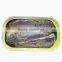 low price canned sardine in oil YOLI brands from Morocco