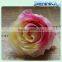Natural preserved fresh rose wholesal flower Multi colored Preserved Roses