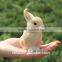 easter rabbit easter gift bunny promotional custom mascot plush toys