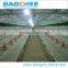 Broiler Chicken Shed Equipment for Poultry