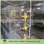 automatic system brolier chicken cage