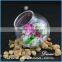 Mini Glass Dome Hanging Clear Glass Balls Rose in Glass Dome