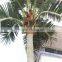 plastic artificial king coconut tree green large Coconut Tree