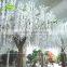 GNW BLS1507011 Centerpieces Cherry Blossom Bonsai Wedding Table Tree On Sale