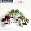 White potted evergreen plants table centerpiece tree