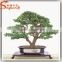 distinctive designs a wide variety of artifical life size artificial decorative plants and trees