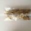 Clothespins